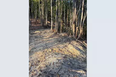 Tbd Lot 2 Old Nc Highway 16 None, Millers Creek, NC 28651 - Photo 8