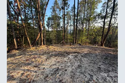 Tbd Lot 2 Old Nc Highway 16 None, Millers Creek, NC 28651 - Photo 4