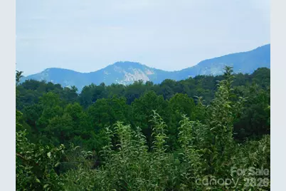 296 Acorn Lane, Rutherfordton, NC 28139 - Photo 30