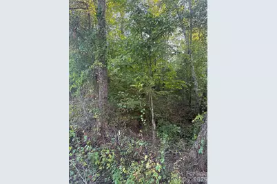00 Pleasant Grove Church Road, Wadesboro, NC 28170 - Photo 10
