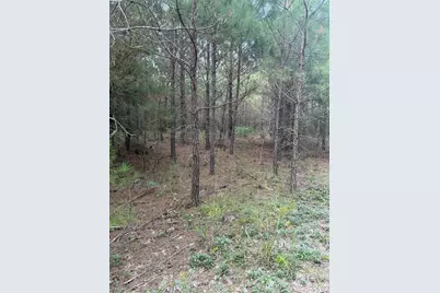 00 Pleasant Grove Church Road, Wadesboro, NC 28170 - Photo 2