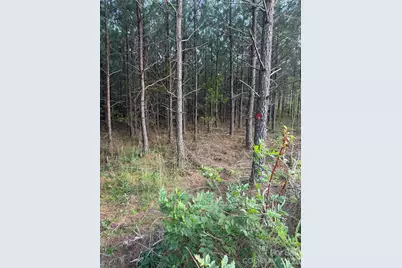 00 Pleasant Grove Church Road, Wadesboro, NC 28170 - Photo 6