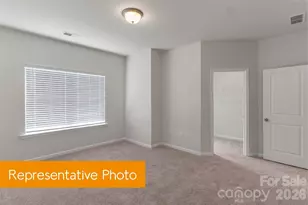 6424 Starfall Wy, Charlotte, NC 28214 - Photo 10