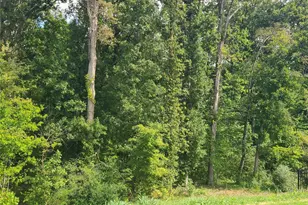 121 Olive Tea Ln, Statesville, NC 28625 - Photo 34