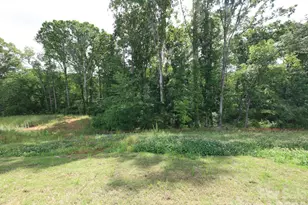 121 Olive Tea Ln, Statesville, NC 28625 - Photo 32