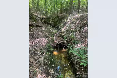 Tbd Nc Hwy 109 None N, Wadesboro, NC 28170 - Photo 28