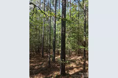 Tbd Nc Hwy 109 None N, Wadesboro, NC 28170 - Photo 20