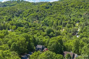 177 SkyView Cir, Asheville, NC 28804 - Photo 46