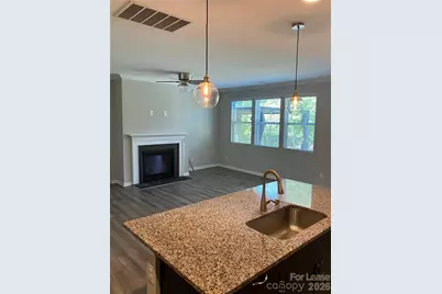 10421 Bluejack Oak Court, Huntersville, NC 28078 - Photo 4