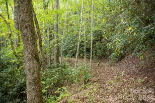 126 Wild Flower Cove Dr, Swannanoa, NC 28778 - Photo 46