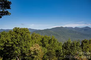 126 Wild Flower Cove Dr, Swannanoa, NC 28778 - Photo 30