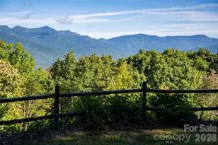 126 Wild Flower Cove Dr, Swannanoa, NC 28778 - Photo 44