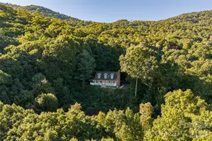 126 Wild Flower Cove Dr, Swannanoa, NC 28778 - Photo 6