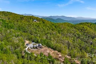 58 Bird Creek Estates Rd, Black Mountain, NC 28711 - Photo 46