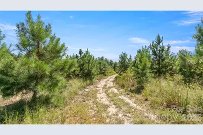 318 McFarlan Road, Morven, NC 28119 - Photo 40
