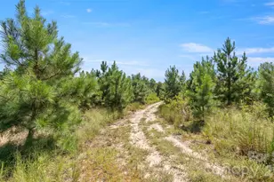 318 McFarlan Rd, Morven, NC 28119 - Photo 40