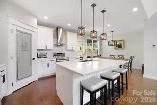 153 Israel Rd, Leicester, NC 28748 - Photo 4