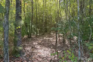1750 Troon Dr, Salisbury, NC 28144 - Photo 46