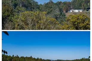 67 & 69 Allman Hill Rd, Weaverville, NC 28787 - Photo 6