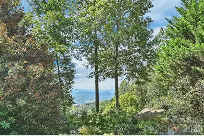 4311 Cove Loop Road, Hendersonville, NC 28739 - Photo 4