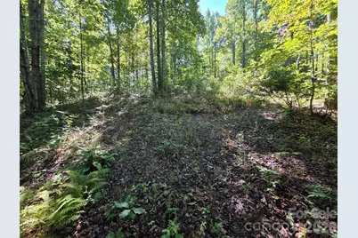 19 Meditation Ridge Drive, Nebo, NC 28761 - Photo 18