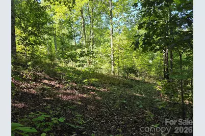 19 Meditation Ridge Drive, Nebo, NC 28761 - Photo 6