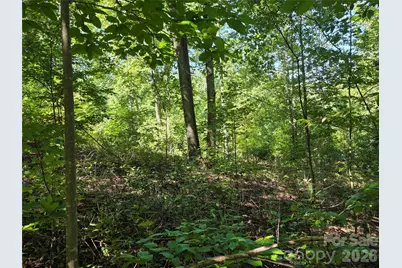 19 Meditation Ridge Drive, Nebo, NC 28761 - Photo 12
