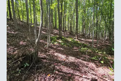 19 Meditation Ridge Drive, Nebo, NC 28761 - Photo 2