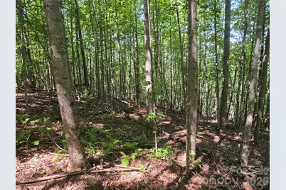 19 Meditation Ridge Drive, Nebo, NC 28761 - Photo 10