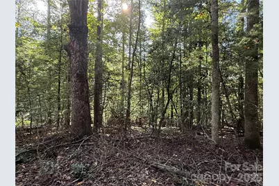 000 Reserve Way #10, Hendersonville, NC 28792 - Photo 8