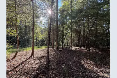 000 Reserve Way #10, Hendersonville, NC 28792 - Photo 10