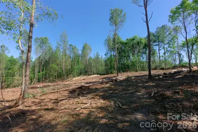 0 Carson Road #3, Cleveland, NC 27013 - Photo 8