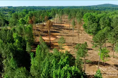 0 Carson Road #3, Cleveland, NC 27013 - Photo 2