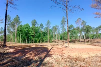 0 Carson Road #3, Cleveland, NC 27013 - Photo 6