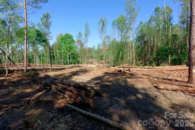 0 Carson Road #3, Cleveland, NC 27013 - Photo 4