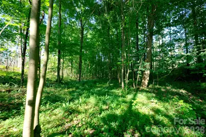 0 Carson Road #4, Cleveland, NC 27013 - Photo 6