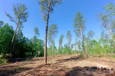 0 Carson Road #4, Cleveland, NC 27013 - Photo 8