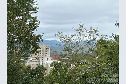 332 S Beaumont Street, Asheville, NC 28801 - Photo 12