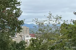 332 S Beaumont St, Asheville, NC 28801 - Photo 12