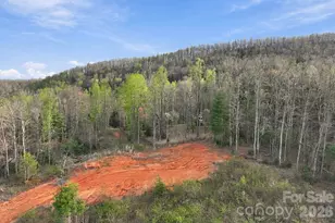 1079 Dupont Rd, Hendersonville, NC 28739 - Photo 38