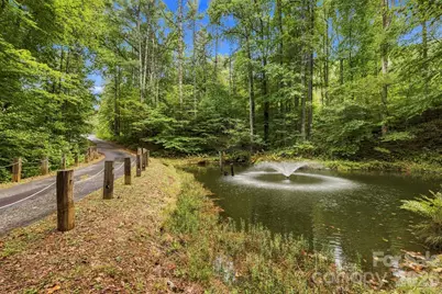1079 Dupont Road, Hendersonville, NC 28739 - Photo 6