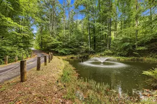 1079 Dupont Rd, Hendersonville, NC 28739 - Photo 6