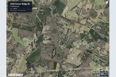 1226 Forest Ridge Drive, Bessemer City, NC 28016 - Photo 4
