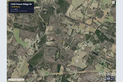 1230 Forest Ridge Drive, Bessemer City, NC 28016 - Photo 4