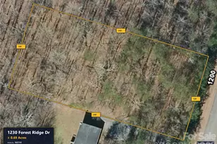1230 Forest Ridge Dr, Bessemer City, NC 28016 - Photo 1