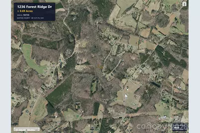 1236 Forest Ridge Drive, Bessemer City, NC 28016 - Photo 4