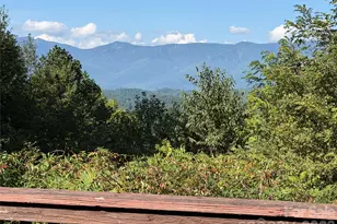 697 Grassy Mountain Rd, Little Switzerland, NC 28749 - Photo 2