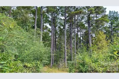 0 St Martin Road, Oakboro, NC 28001 - Photo 40