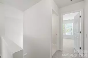 9247 Mcalwaine Preserve Ave, Charlotte, NC 28277 - Photo 18