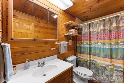 355 Oak Ridge Lane, Whittier, NC 28789 - Photo 16